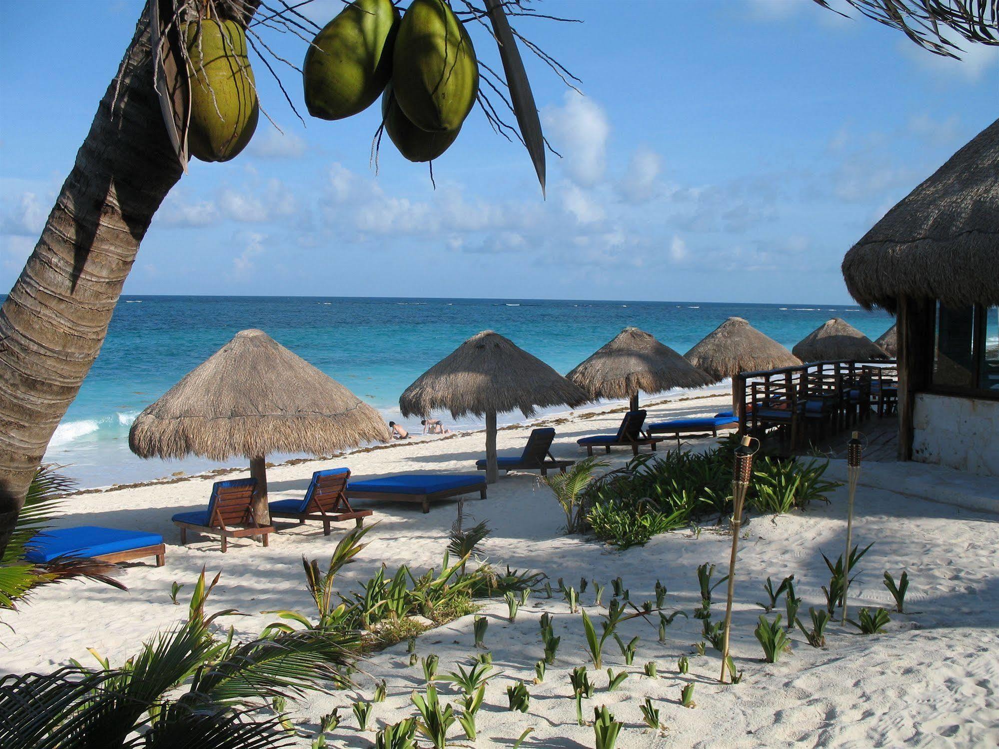 Sol Caribe Hotel Punta Allen Eksteriør billede